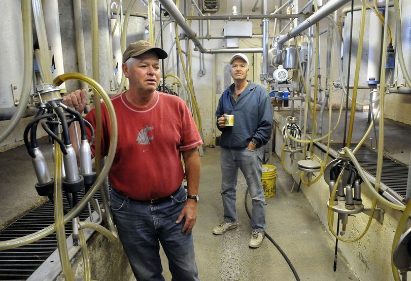 Stan (left) and Steve Courchaine milked their cows for the last time in the dairy parlor on their farm along north Harvard Road Friday, August 14, 2009.  The facility was absent of production after they sent their dairy cows to slaughter as part of a national program to cut milk supplies and raise prices.  Their parents started the farm in 1948.  Says Stan 