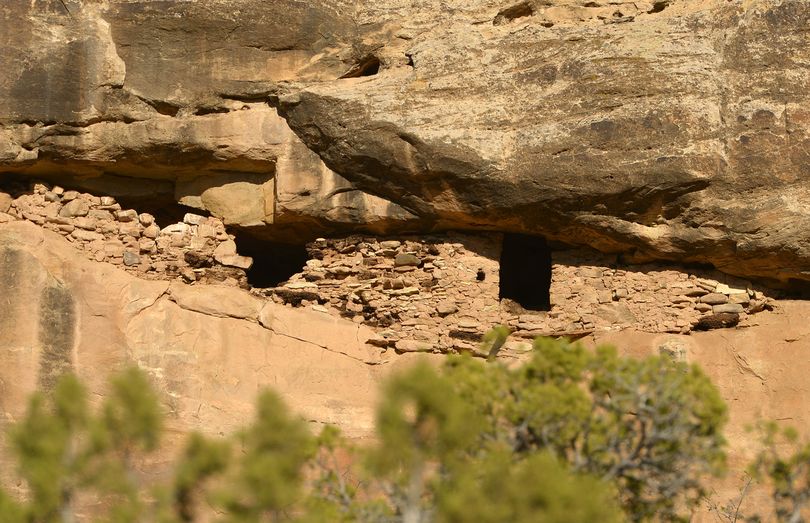 In this April 24, 2014 photo,  Pueblo III-period cliff dwellings created by the Anasazi or Ancestral Puebloan peoples between 1150 and 1300 A.D. in Recapture Canyon near Blanding,  in Utah. The Bureau of Land Management  closed it to motorized use in 2007. Recapture Canyon is home to dwellings, artifacts and burials left behind by Ancestral Puebloans hundreds of years ago before they mysteriously disappeared.   Environmentalists and Native Americans say the ban is needed to preserve the fragile artifacts. (Leah Hogsten / The Salt Lake Tribune)