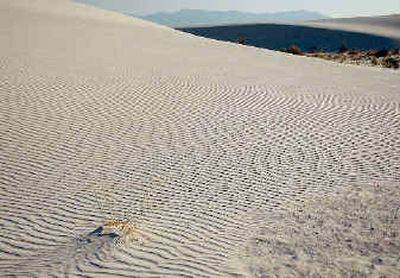 
Gypsum sand dunes advance across the northern tip of the Chihuahuan Desert Monday at White Sands National Monument, N.M. The wavelike dunes have engulfed more than 175 square miles of the Chihuahuan desert and created the world's largest gypsum dune field. 
 (Associated Pres / The Spokesman-Review)