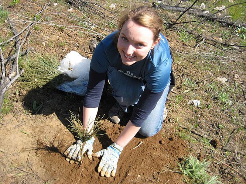 Volunteer Sierra Huckins plants a tree during the 2010 Dishman Hills service project.