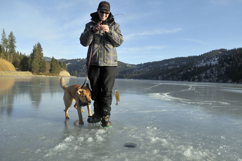 Bryan Lepagnol lifts a small perch from a hole in the ice on Fernan Lake on Friday while his dog, Tank, watches. Fishermen found 5 to 7 inches of ice on Fernan. (Jesse Tinsley)