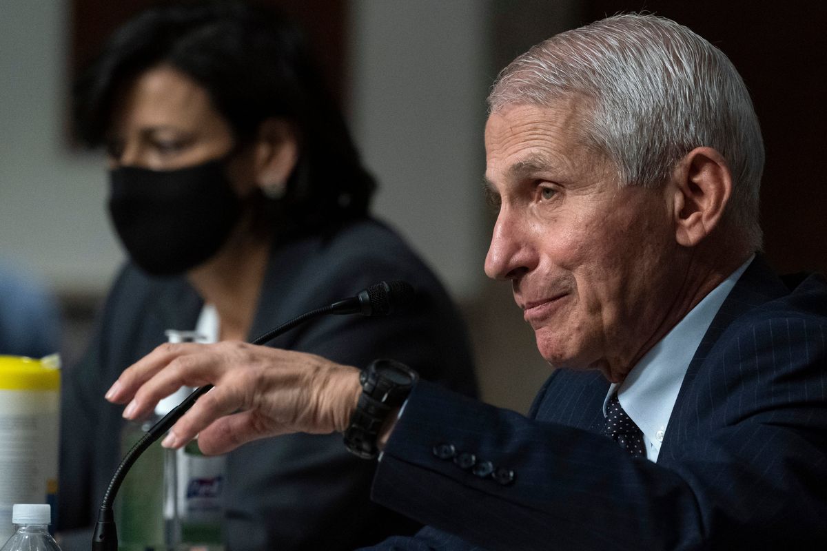 Dr. Anthony Fauci, right, director of the National Institute of Allergy and Infectious Diseases, speaks as Dr. Rochelle Walensky, Director of the Centers for Disease Control and Prevention (CDC) listens during a Senate Health, Education, Labor, and Pensions Committee hearing on Capitol Hill, Thursday, Nov. 4, 2021, in Washington.  (Alex Brandon)