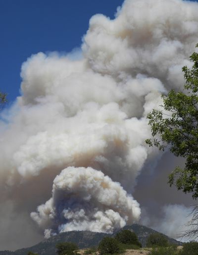 The massive blaze in the Gila National Forest, pictured Tuesday, has burned more than 265 square miles. (Associated Press)