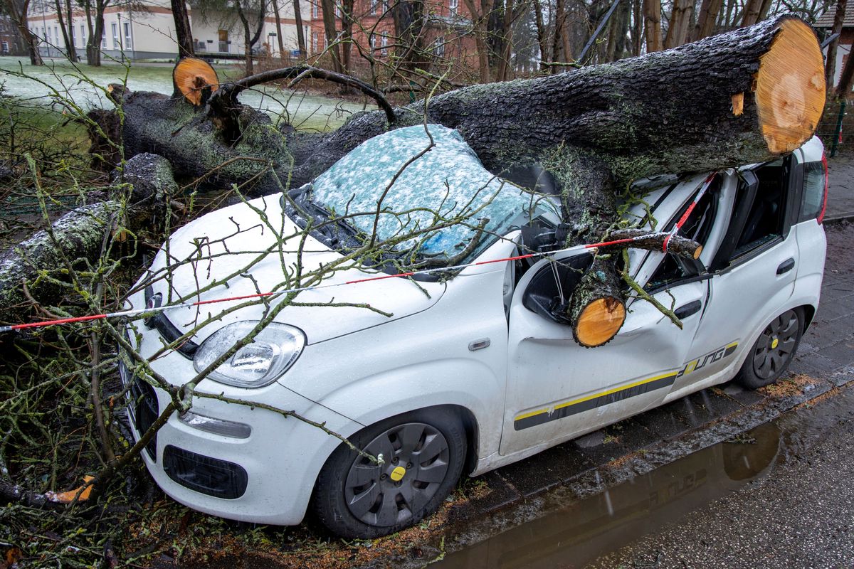 A car is destroyed by a fallen tree after a storm in Schwerin, Germany, Monday, Feb. 21, 2022. A series of storms have hit northern Europe in recent days.  (Jens Buettner)