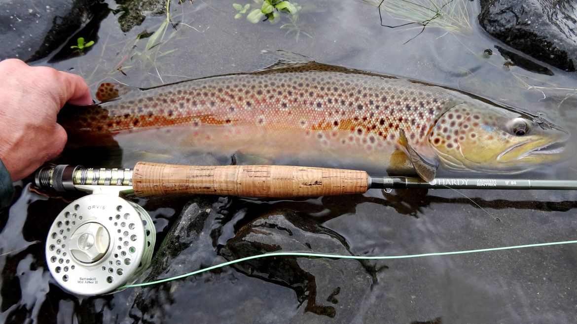 Field reports: Missouri River brown trout grow in size | The Spokesman ...