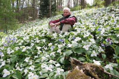 
Ron Brown sits among some of the colonies of trilliums growing in his hillside garden at Harrisonburg, Va. Trillums are a long-blooming wildflower that often take four- to seven years to mature from seed to first bloom. 
 (Associated Press / The Spokesman-Review)