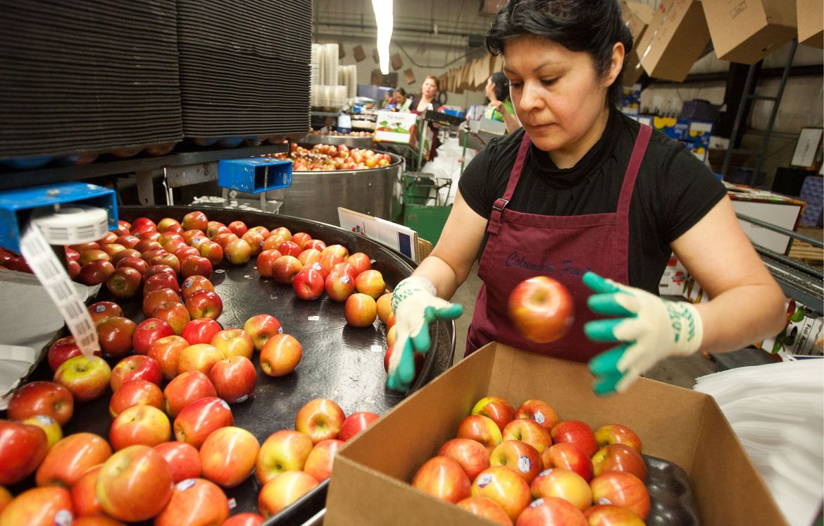 Washington apple exports drop substantially in 202021 The Spokesman