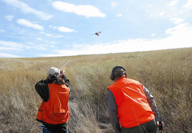 A first-time hunter takes a shot at a pheasant during an Idaho Department of Fish and Game hunting clinic.