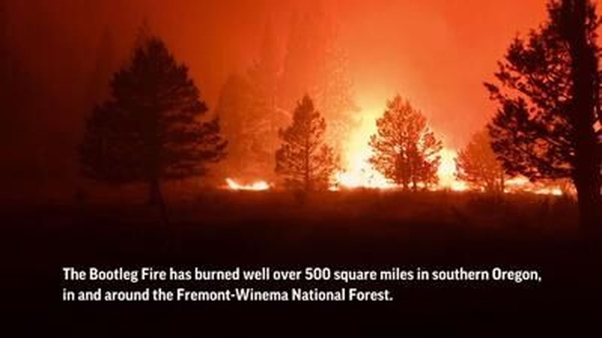 The massive Bootleg Fire in Oregon has grown to a third the size of Rhode Island. It