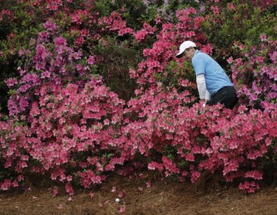 Rory McIlroy, of Northern Ireland, looks for his ball in the azaleas on the 13th hole during the third round at the Masters golf tournament Saturday, April 7, 2018, in Augusta, Ga. (David J. Phillip / AP)