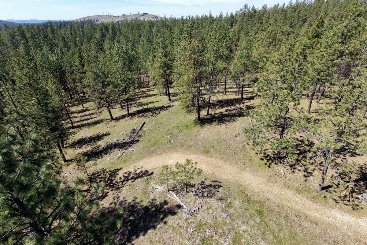 The Fancher Property is situated on the northwest corner of the Northwoods area and is currently owned by the Department of Natural Resources and has some trails used by hikers and cyclists.  (Jesse Tinsley/THE SPOKESMAN-REVIEW)