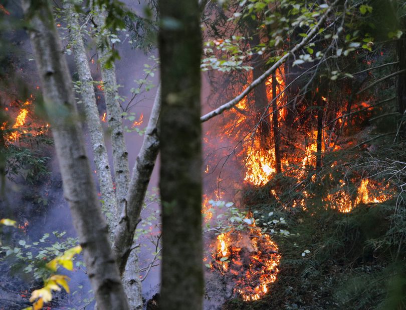 In this Dec. 16, 2013 photo, a fire burns the hillside in the Big Sur, Calif., region. More than 800 firefighters fought the unusual late fall wildfire that has destroyed more than a dozen homes and forced about 100 people to flee the forested mountains. No injuries have been reported. (Travis Geske / The Californian)