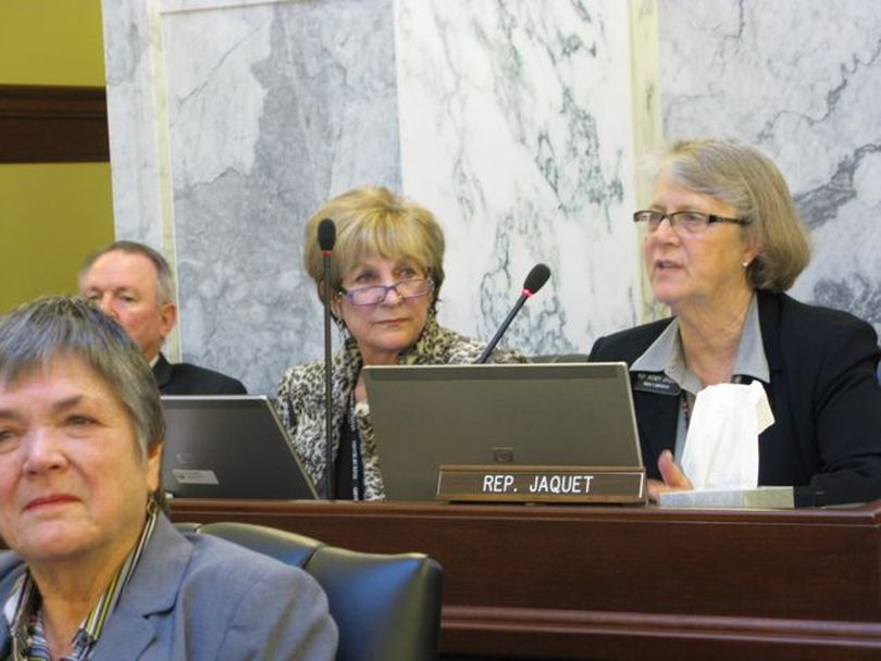 Rep. Wendy Jaquet, D-Ketchum, right, speaks up during a budget debate in the Joint Finance-Appropriations Committee on Tuesday morning. (Betsy Russell)