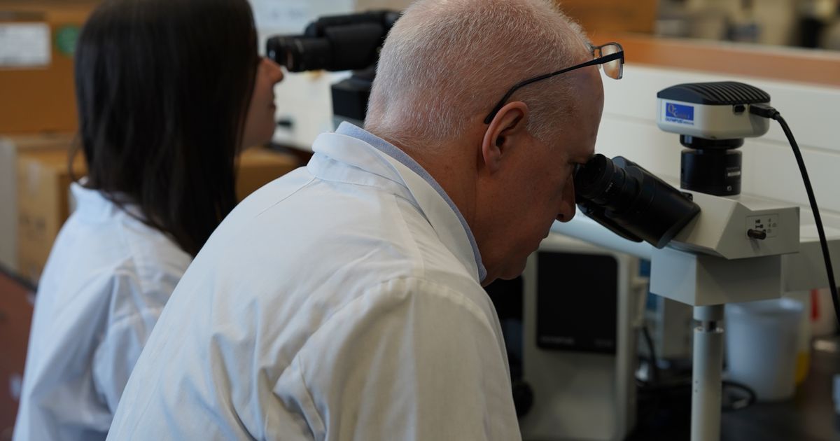 Cats could help scientists better understand human cancer, study says