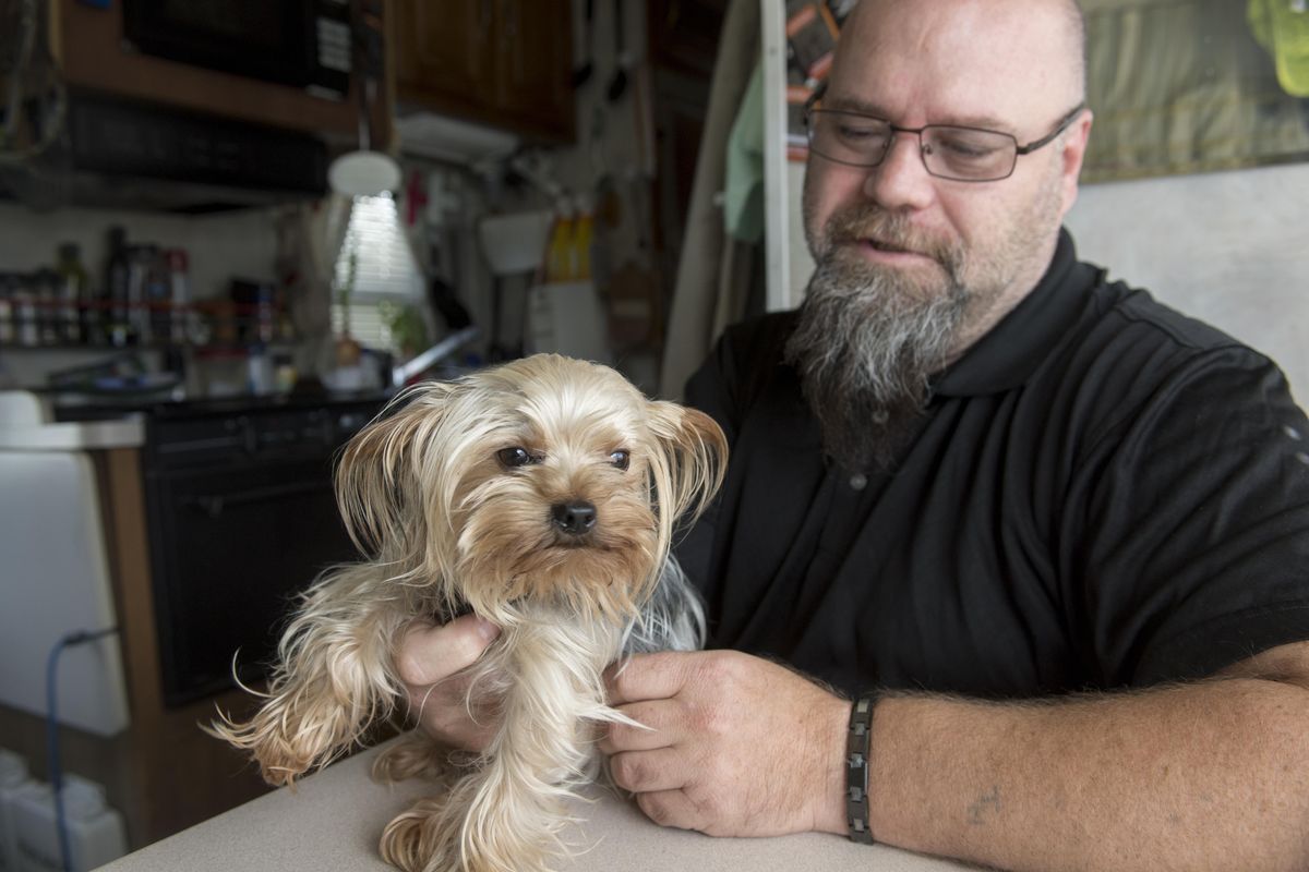 Jeff Holden sits in his motor home with his micro-Yorkie Dobby Monday, April 10, 2017. His dog was taken, or perhaps picked up after it wandered from a friend’s fenced yard, and sold on Craigslist within hours. But the new buyer was suspicious and found Holden’s Craigslist post about the lost dog. (Jesse Tinsley / The Spokesman-Review)