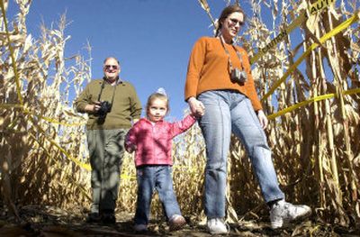 
Clyde Johnson, Katrianna Johnson, 2, and Susan Johnson find their way through the Amaizing Corn Maze on Saturday. Visitors from around the region come to wander its five miles of trails. 
 (Jesse Tinsley / The Spokesman-Review)
