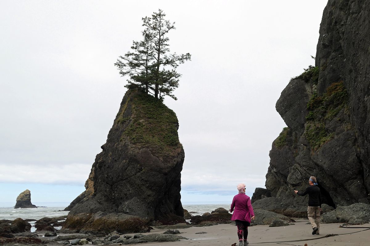 Sea stacks offer exploration opportunities at Point of the Arches, a formation on the Olympic National Park coastline.  
 (John Nelson)