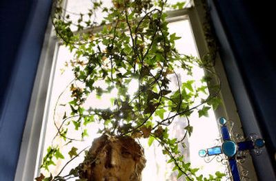 Houseplants will do just fine indoors, as long as they receive proper care.
(The Spokesman-Review)