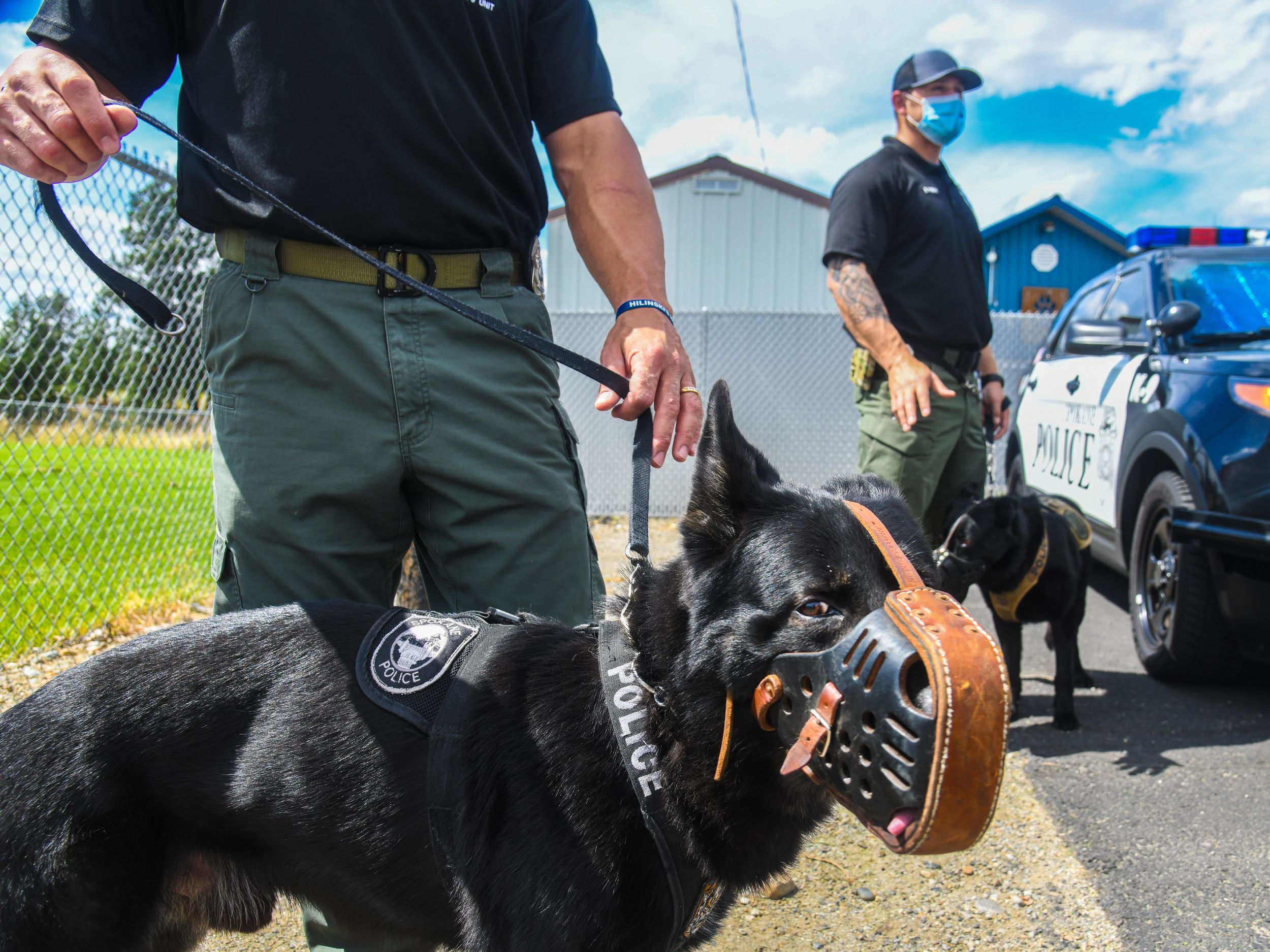 are police k9 considered service dogs