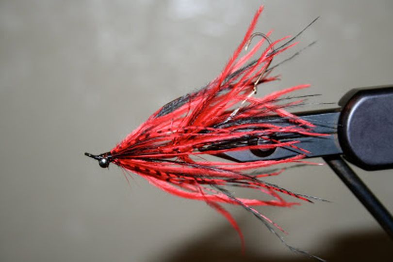 The Inferno Fly honoring EWU Eagles football team. (courtesy)