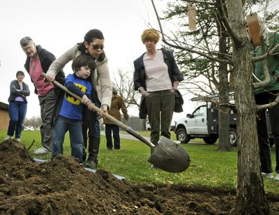 Jodi Kelnhofer assists her son, Jack, 4, with tossing a shovel of dirt onto a newly planted dawn redwood tree as part of the Susie Forest, April 10, 2012 at the Shadle Public Library.  Nancy MacKerrow, second from left, started The Susie Forest in memory of her daughter, Susie Stephens, who died in 2002.  (Dan Pelle / The Spokesman-Review)