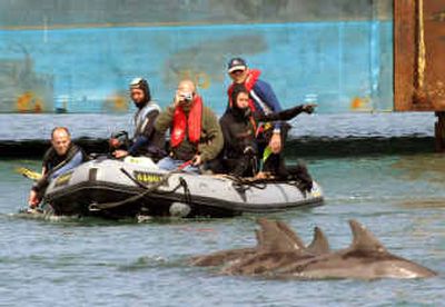 
Israeli police officers and divers look at a group of dolphins Tuesday in Haifa harbor. 
 (Associated Press / The Spokesman-Review)