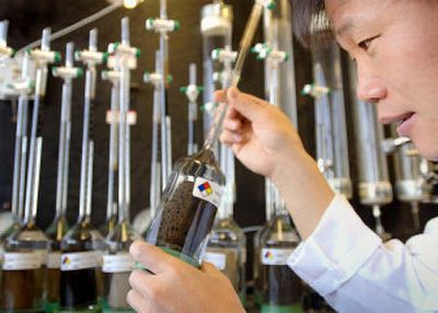 
Student Jason Tong, from China, conducts research experiments in the Department of Chemical and Petroleum Engineering at the University of Wyoming, which is bringing back the undergraduate petroleum engineering major after a four-year hiatus. 
 (Associated Press / The Spokesman-Review)