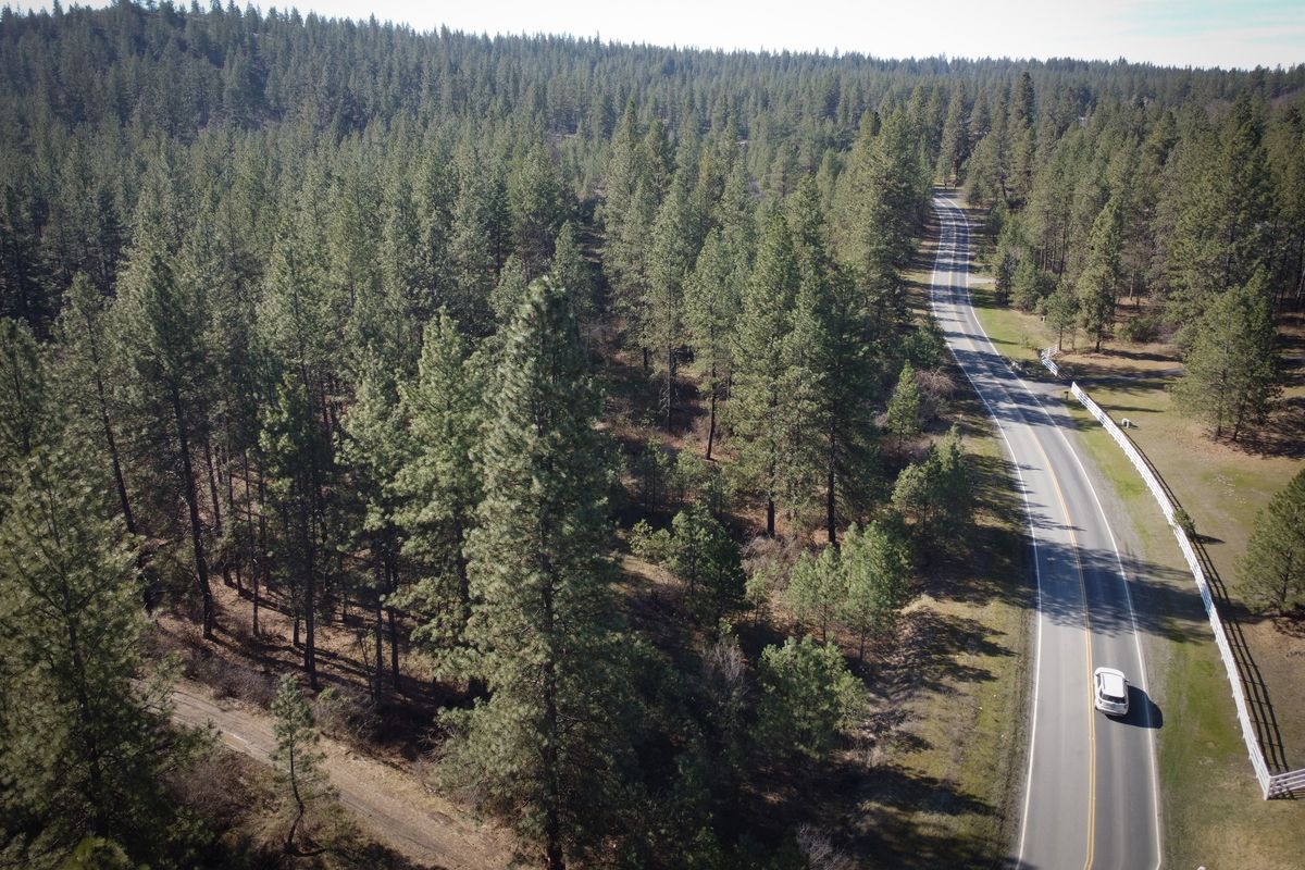 Conservationists hope to stop as many as 1,000 homes from being built on this undeveloped land, left, shown March 24 along Thorpe Road south of Spokane.  (Jesse Tinsley/THE SPOKESMAN-REVIEW)