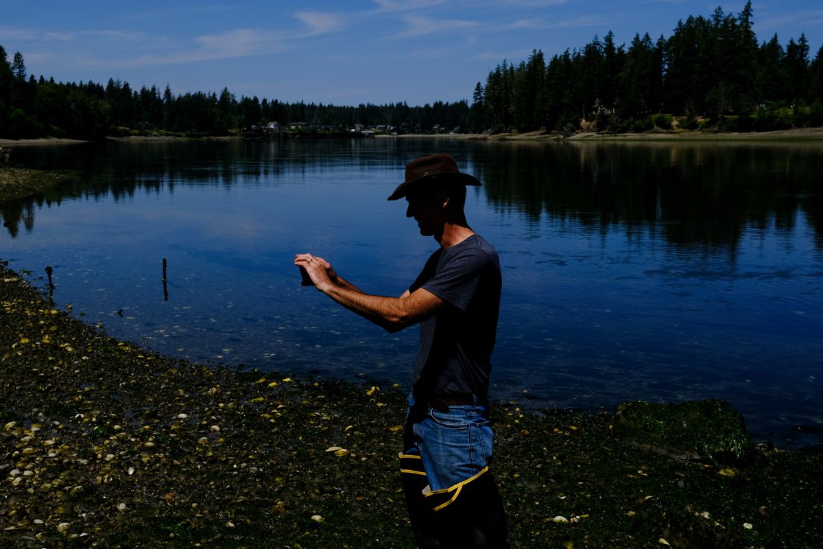 Eric Sparkman, a shellfish biologist with the Squaxin Island Tribe’s Natural Resources Department, snaps a photo of dead shellfish Friday.  (Tyler Tjomsland/The Spokesman-Review)