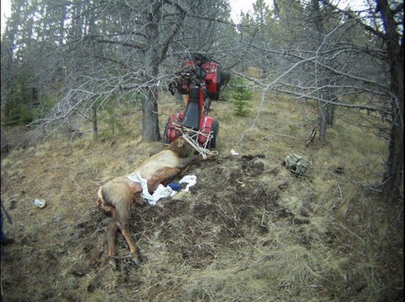 A hunter from Bend survived being impaled by the horn of an elk he was dragging back to camp behind an ATV on Saturday.  (Crook County Sheriff's Office)