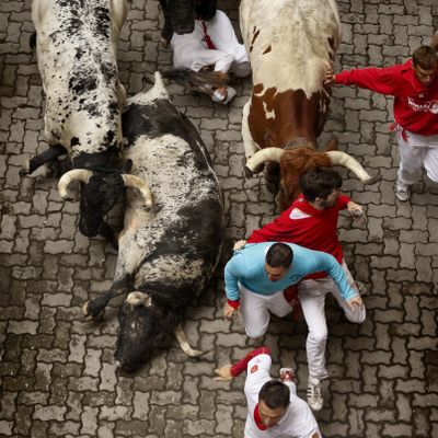 Revelers run while fighting bulls fall during the running of the bulls of the San Fermin festival, in Pamplona, Spain, Monday, July 7, 2014. Revelers from around the world arrive in Pamplona every year to take part on some of the eight days of the running of the bulls glorified by Ernest Hemingway's 1926 novel