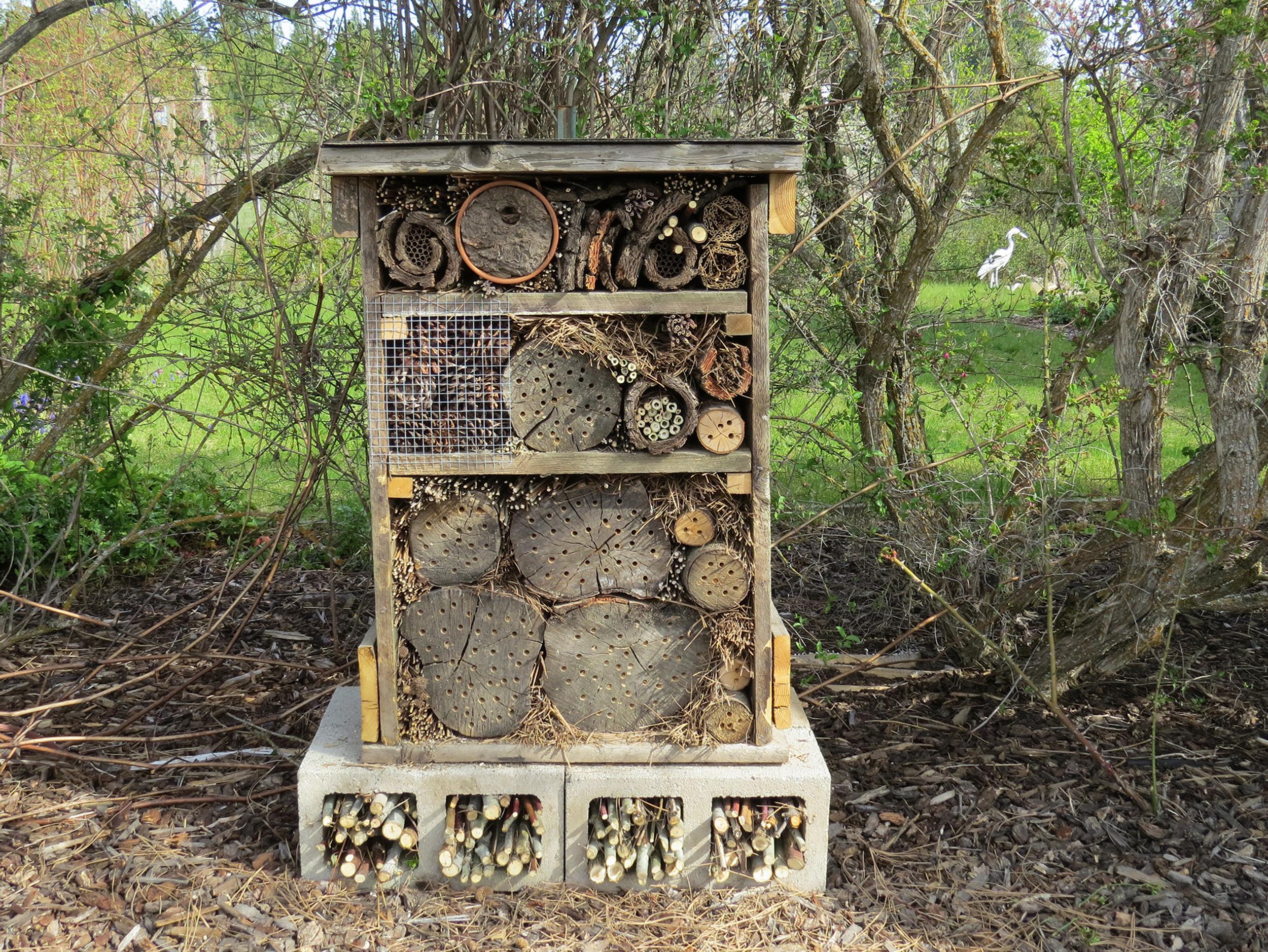 Insect hotels keep good bugs cozy
