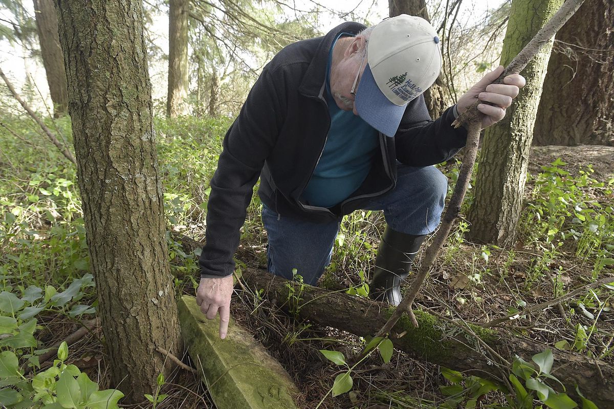 Ron Tucker examines the name on a tombstone at Gingles Cemetery on Feb. 8 in Adai Village, Ore. Rick Pyburn, who lives near the cemetery north of Adair Village, Ore., purchased the cemetery from the Greater Albany School District. Tucker, of Adair, does genealogy for a hobby, which led him to learn the proper method of cleaning gravestones. He’s volunteered to do that for some 40 years. (Mark Ylen / Mark Ylen/Albany Democrat-Herald)
