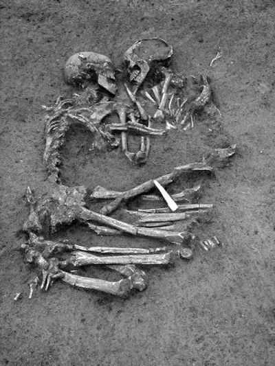 
This photo  shows a pair of human skeletons, believed to be a man and a woman buried 5,000 to 6,000 years ago, found Monday  at a construction site outside Mantua, Italy. 
 (Associated Press / The Spokesman-Review)