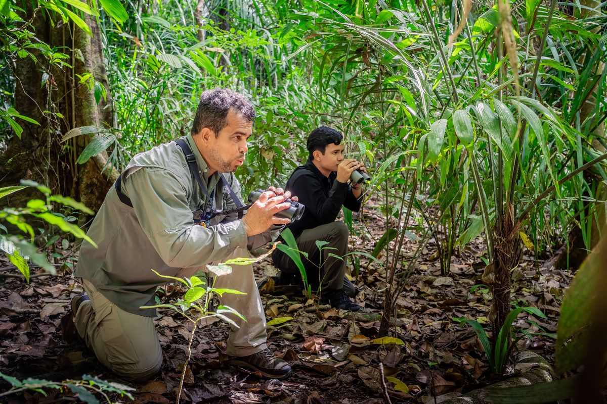 The Panamanian birding guide Ismael Hernando Quiroz Miranda, left, known as Nando, calls out to a streak-chested antpitta as his son, Ismael, looks on in the Canal Zone of Panama in February 2025. Panama’s location between two continents and two oceans explains why it’s a geopolitical hot spot, and why it has so many stunning birds.  (New York Times)