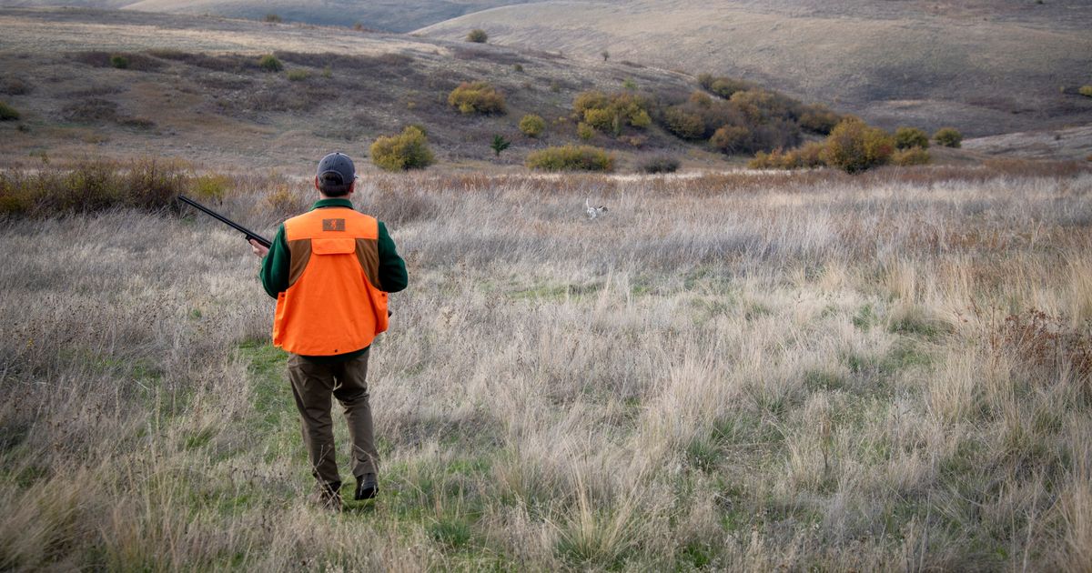 Ain’t nothing like the real thing: Officials warn against using AI for hunting regs