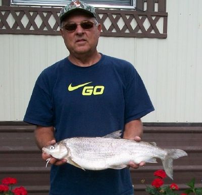 A 26-inch-long lake whitefish weighing 6 pounds, 8 ounces was caught at the north end of Lake Pend Oreille on Aug. 6 by Dale Hofmann of Hope. 
 (Dale Hofmann)