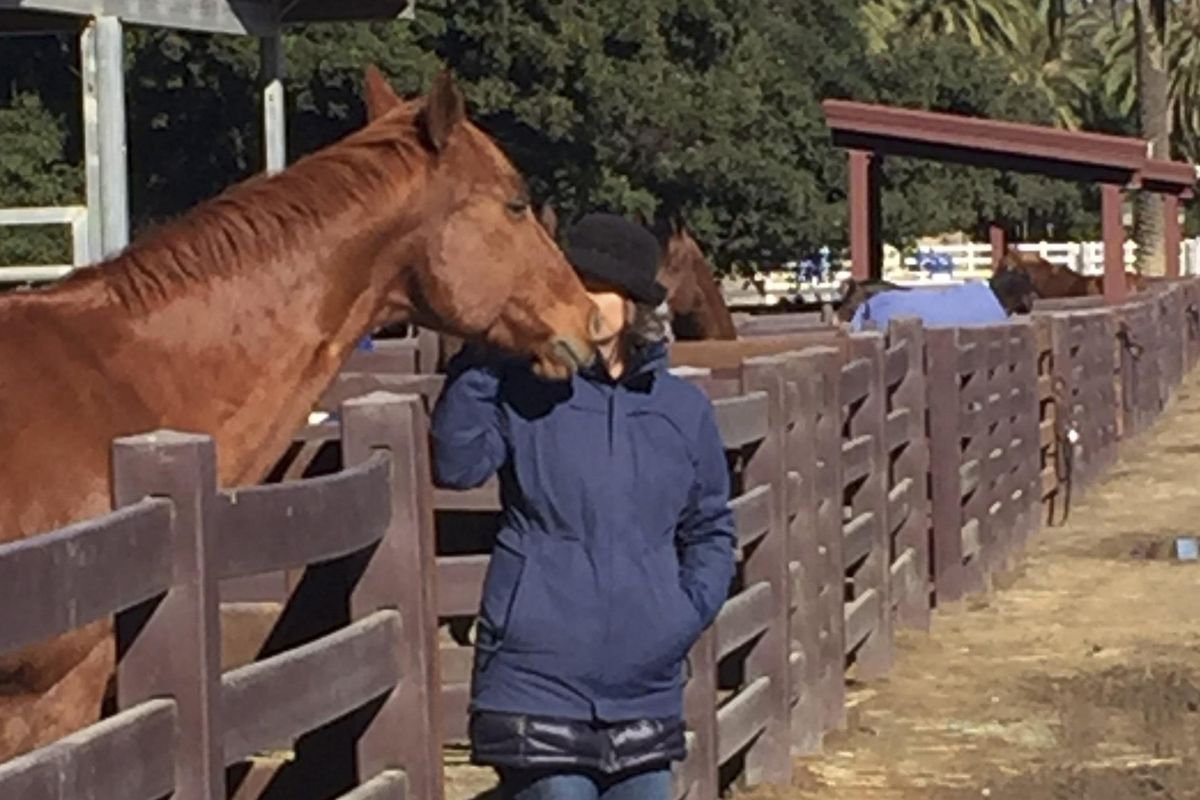 A workshop participant and horse perform an exercise focusing on nonverbal communication. (Photo courtesy Connected Horse/TNS) (Courtesy Connected Horse / TNS)