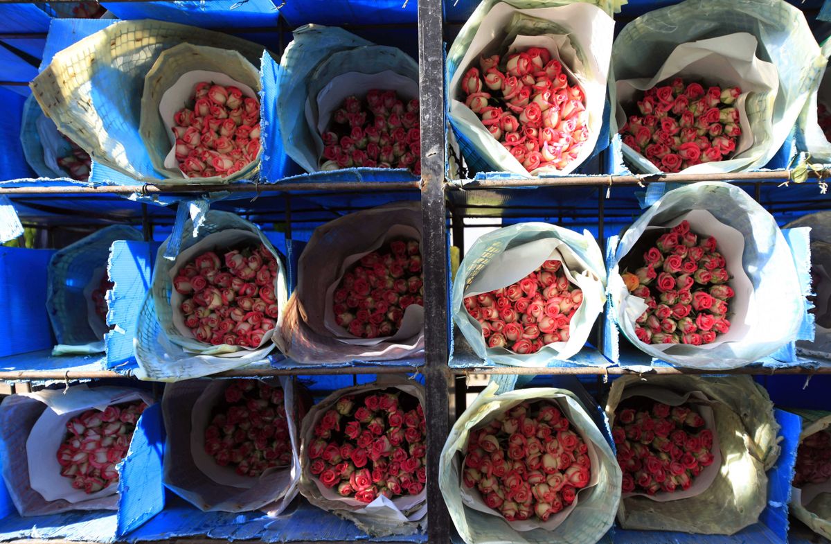 Colombia Valentine's Day Feb. 3, 2012 The SpokesmanReview