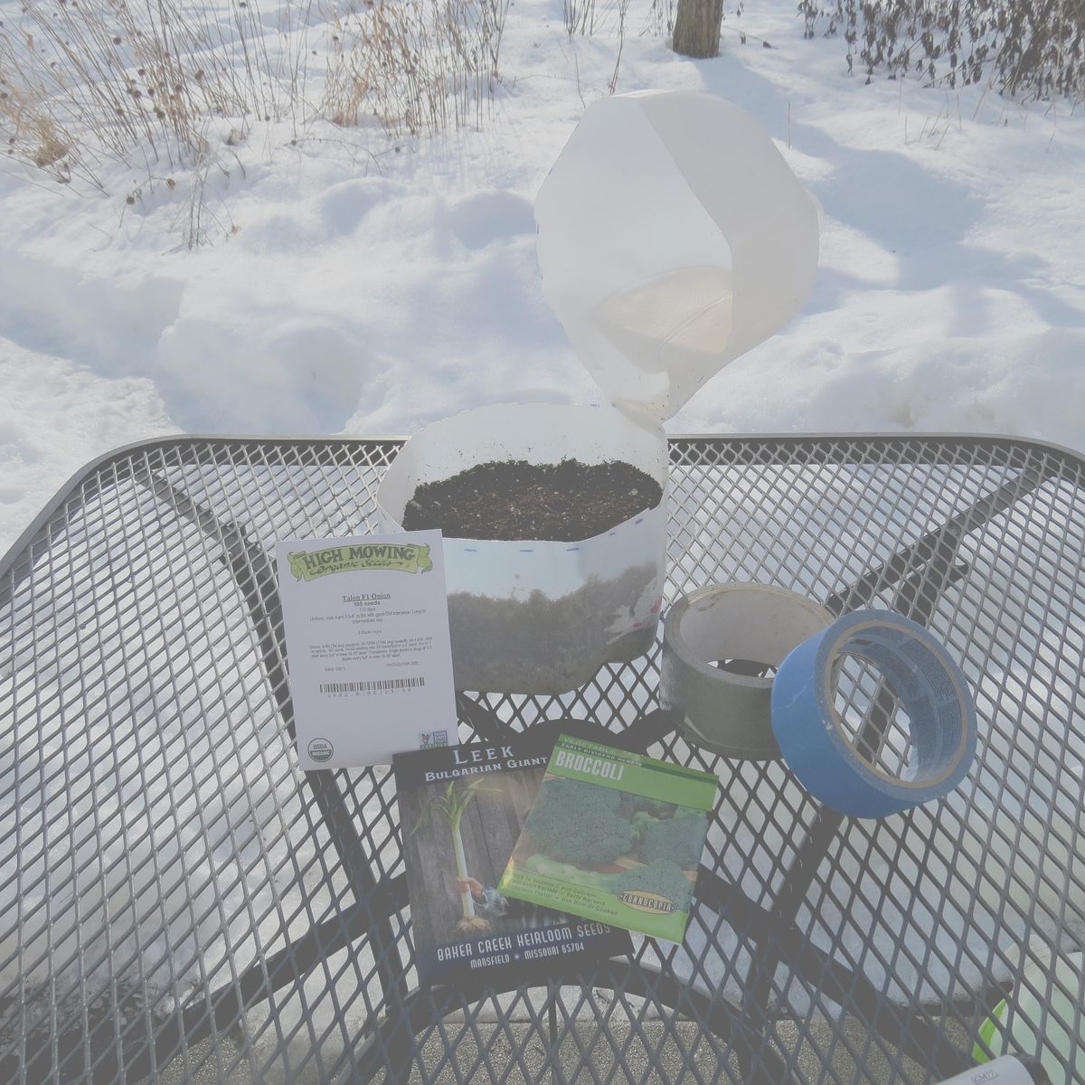 The easiest way to sow seeds in winter is by cutting a milk jug in half crosswise, adding pre-moistened, sterile potting soil, planting the seeds and taping the jug back together. (Susan Mulvihill/For The Spokesman-Review)