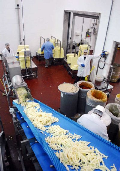 
Blocks of processed cheese are grated and sent up a conveyor belt at the Welcome Dairy Tuesday, in Colby, Wis. Wisconsin may soon become a second-rate cheese power.
 (Associated Press / The Spokesman-Review)