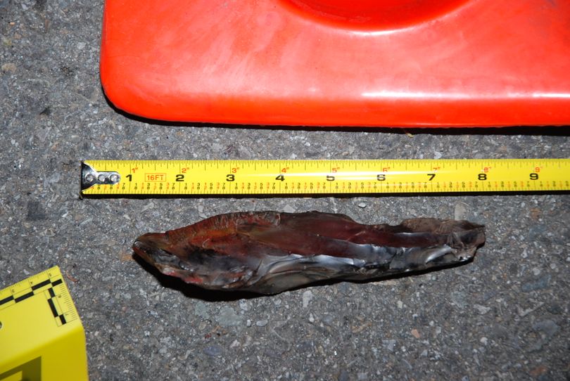Spokane police have released this photo of an obsidian knife they say Quentin D. Dodd, 50, carried Sunday night, Oct. 24, 2010. Deputy Rustin Olson, who shot and killed Dodd, said the Spokane Valley man held the weapon over his head and made a stabbing motion toward Olson after refusing commands to drop the knife. (Spokane Police Department)
