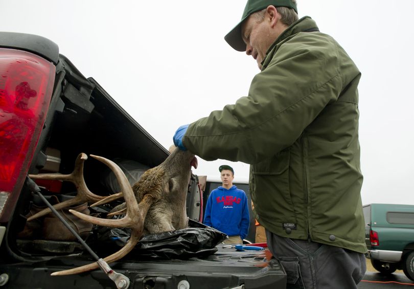 At the truck weigh station north of Deer Park, wash., Jay Shepherd an assistant district biologist with the Washington Department of Fish and Wildlife, takes teeth and tissue samples on whitetail buck shot by Andrew Waltnerof Auburn, Wash. (in back.) Idaho wildlife officials have taken additional steps to prevent chronic wasting disease from entering the Gem State by banning the import of deer, elk or moose carcasses from areas with documented cases of chronic wasting disease. (Colin Mulvany / The Spokesman-Review)