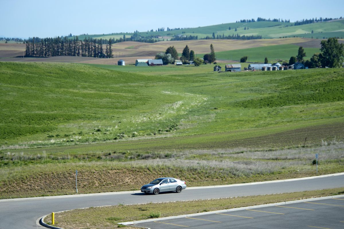 A vehicle travels on the northernmost access to the parking lot serving Roos Field. The farmland beyond the car is being considered as the site of a new stadium for Eastern Washington University football, shown Wednesday, May 11, 2016. No plans have been made but the land owner said he has been contacted. (Jesse Tinsley / The Spokesman-Review)