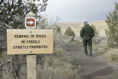 
National Park Service Ranger Scott Rinter walks along the Leaf Hill trail at the John Day Fossil Beds National Monument. Associated Press photos
 (Associated Press photos / The Spokesman-Review)