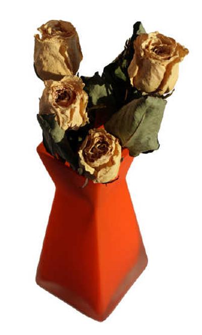 
Here's hoping that The Syphilis Bouquet is never delivered to you.
 (The Spokesman-Review)