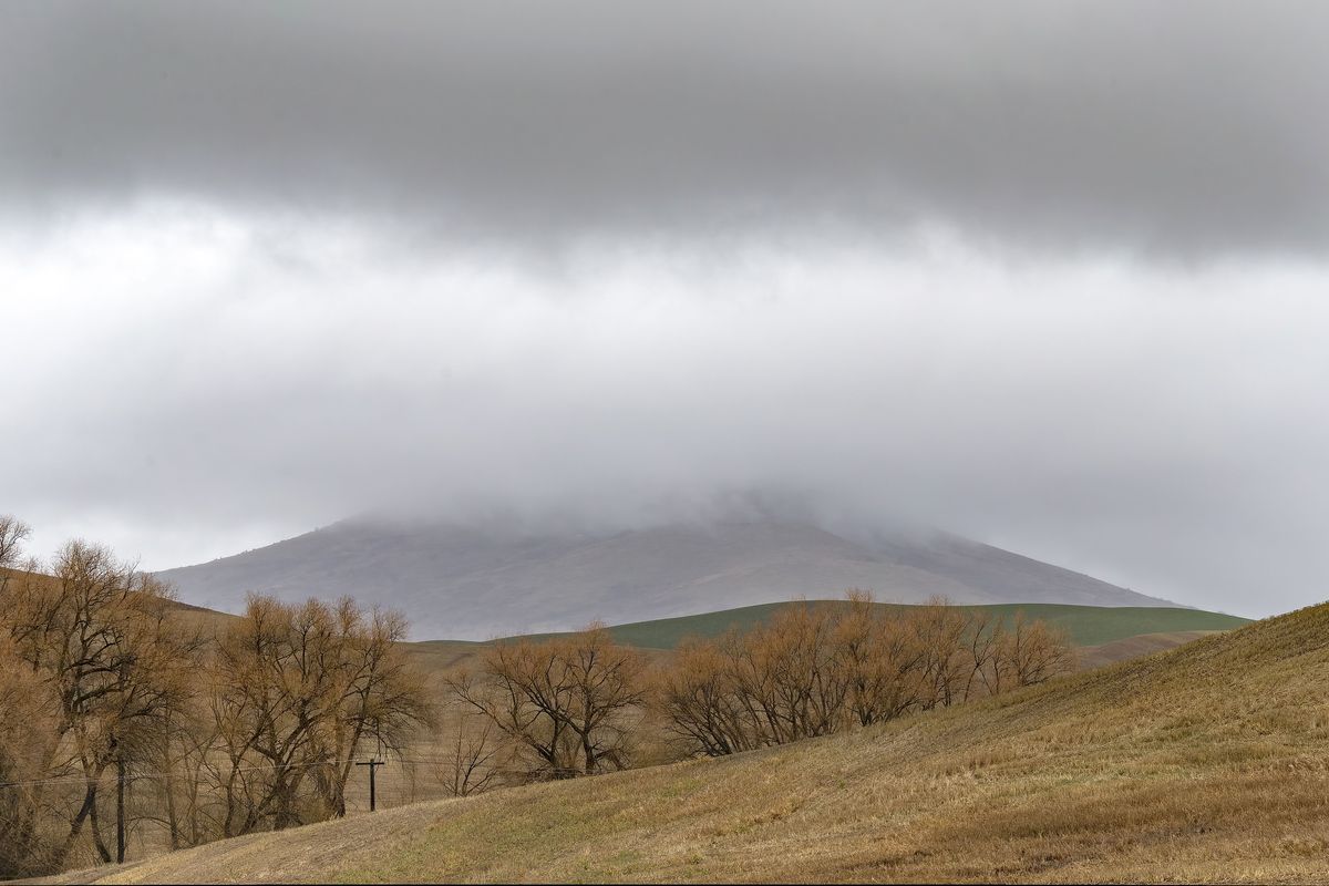 The top of Steptoe Butte is hidden by clouds on Wednesday, March 5, 2026, near Steptoe, Wash. Steptoe Butte State Park is open after being closed while the road was repaved.  (Geoff Crimmins)