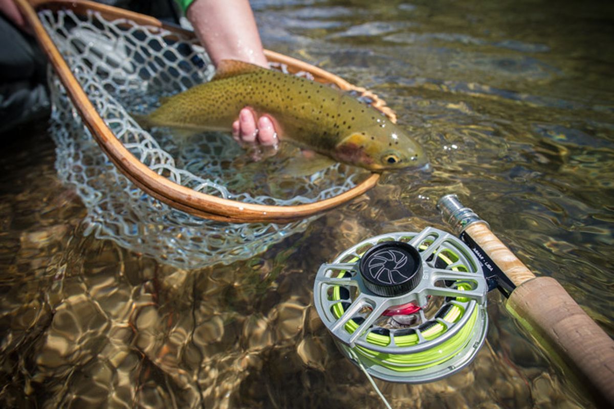 Cutthroat trout can be caught year round in North Idaho streams. (Sean Visintainer / Silver Bow Fly Shop)