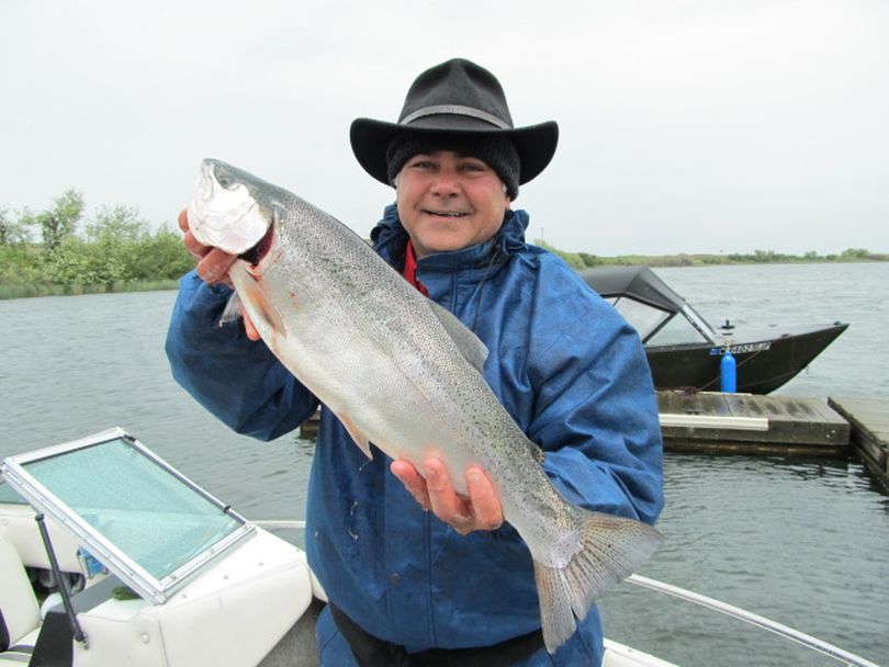 KHQ TV weather reporter Dave Law poses with a 4.5-pound rainbow he caught during the stormy weather that greeted the Sprague Lake Trout Derby on June 9, 2012. (Scott Haugen)