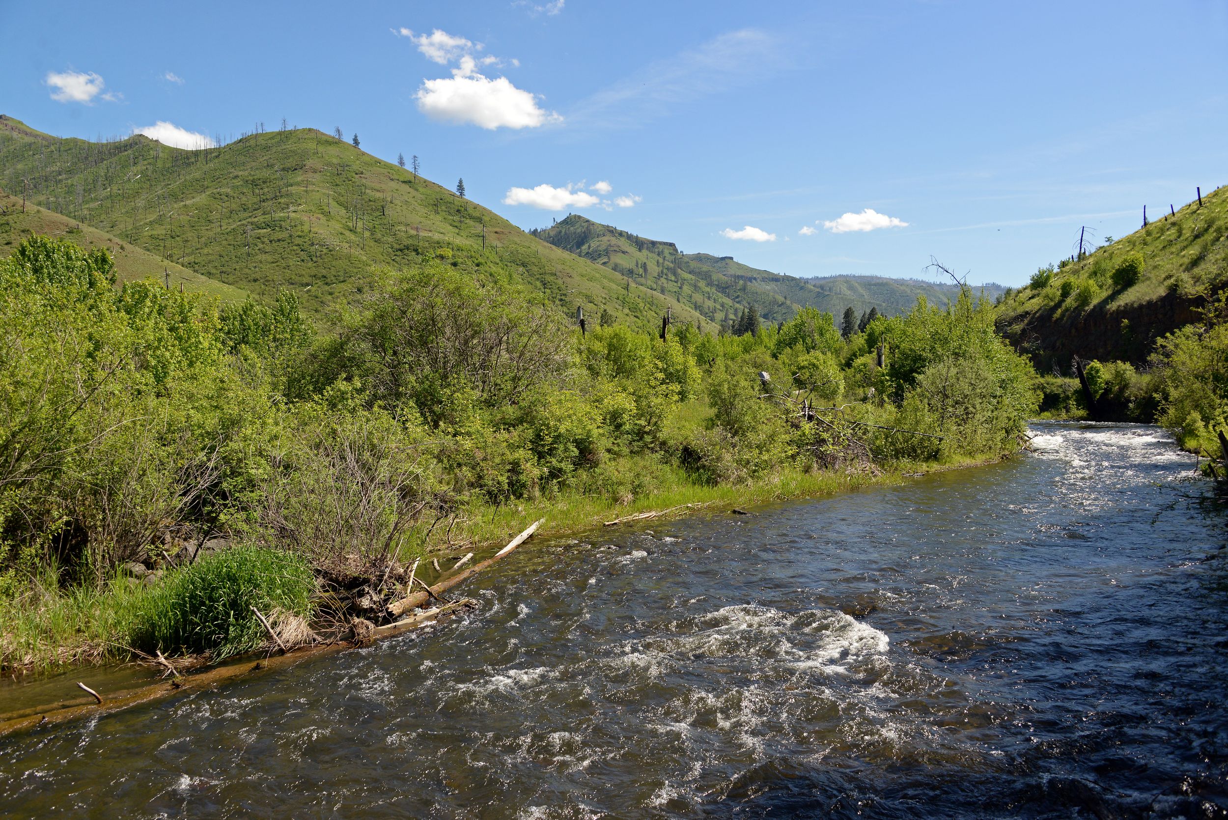 W.T. Wooten Wildlife Area river restoration work requires campground ...